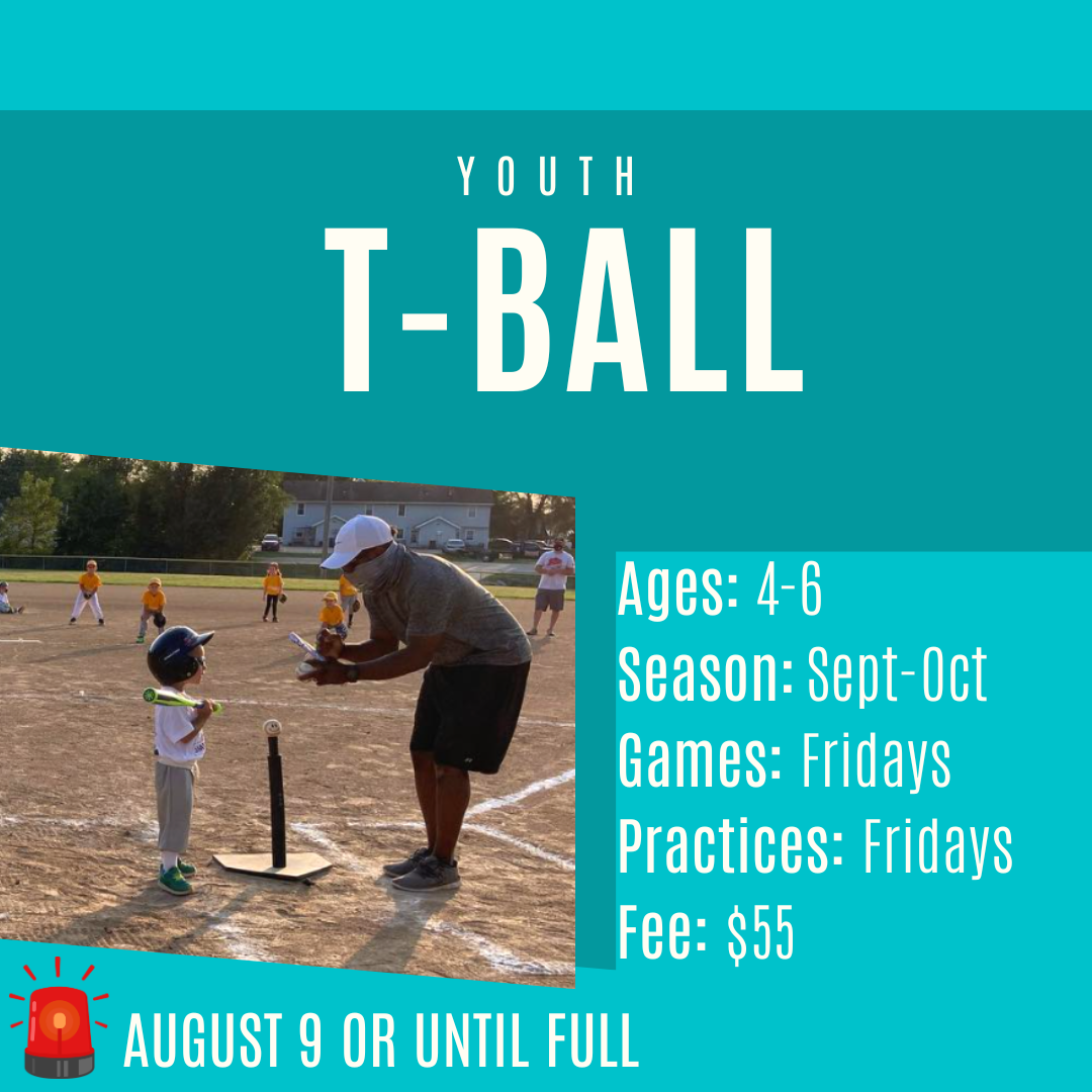 T-Ball fall